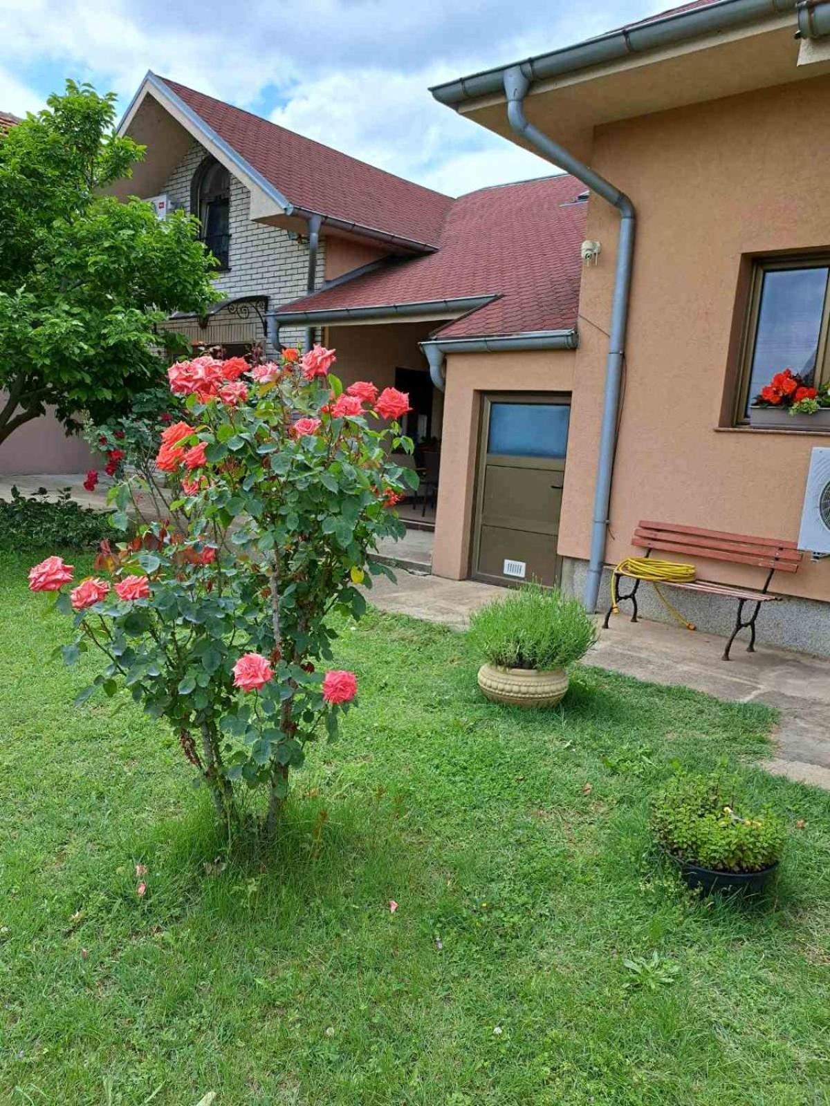 Villa Nena Kladovo Luaran gambar